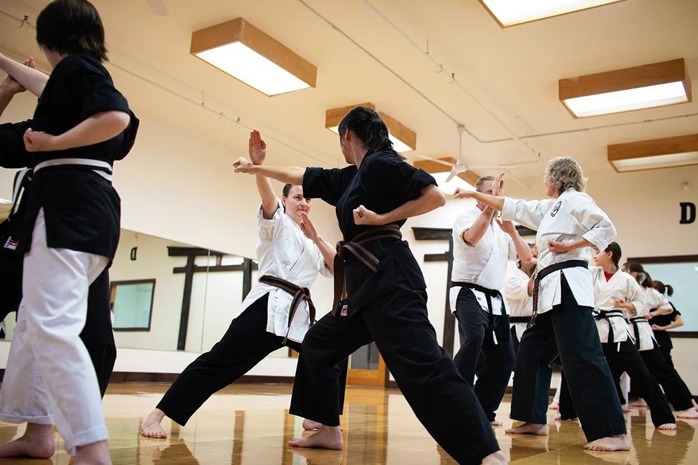 Professional martial arts class training